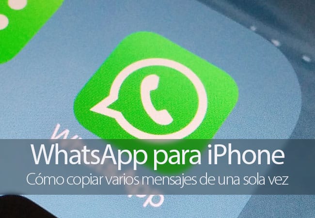 Copiar varios mensajes en WhatsApp para iPhone