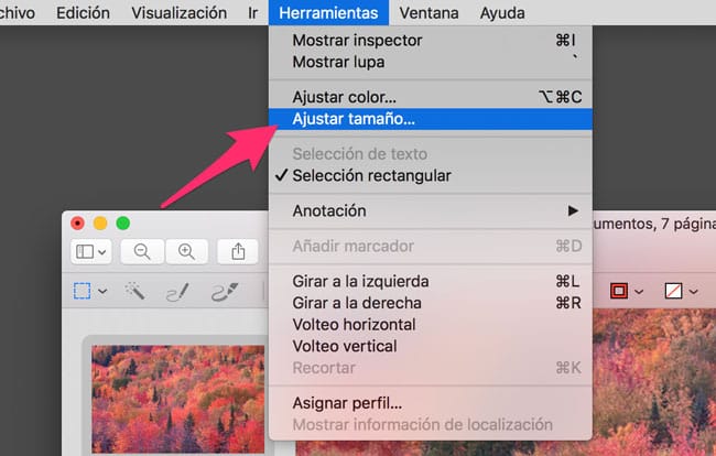 Ajustar tamaño de imagen en Vista Previa