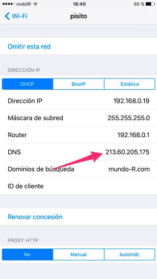 Cambiar servidor DNS en iOS
