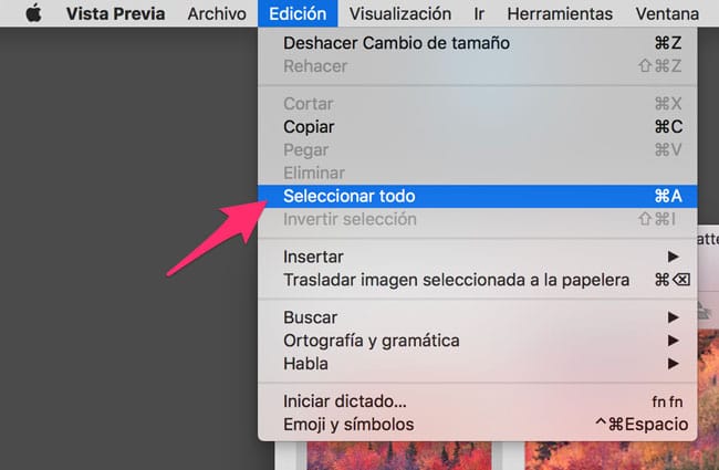Edición - Seleccionar Todo en Vista Previa de macOS