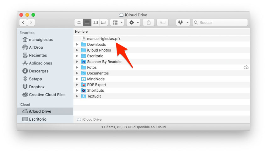 Guardar certificado digital en iCloud Drive